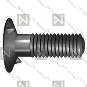 Болт норийный М8х32 D18
